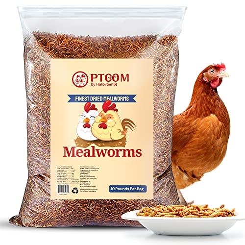 Hatortempt 10lbs Bulk Non-GMO Dried Mealworms for Chickens – Rent