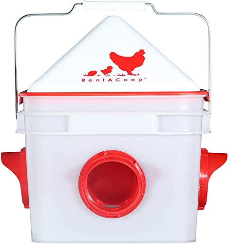 10lb 4-Port Feeder for up to 20 Chicks or 12 Adult Chickens
