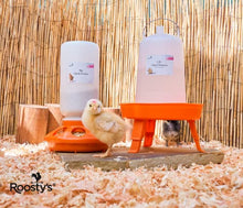 Load image into Gallery viewer, Roosty&#39;s Chick Feeder and Waterer Kit
