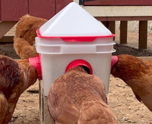 Load image into Gallery viewer, 10lb 4-Port Feeder for up to 20 Chicks or 12 Adult Chickens
